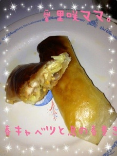 春キャベツと鶏肉の春巻き-レシピのメイン写真