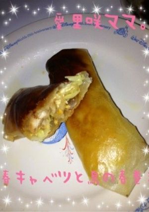 春キャベツと鶏肉の春巻き-レシピのメイン写真
