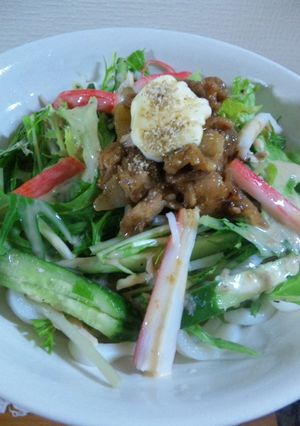 簡単☆サラダうどん-レシピのメイン写真