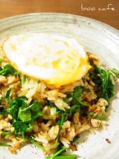 タイ米deパクチー炒飯-レシピのメイン写真