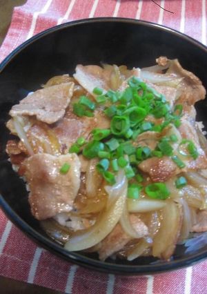 ぱぱっと豚丼-レシピのメイン写真
