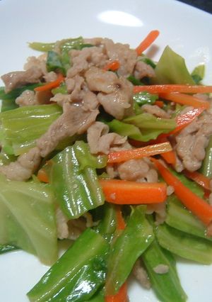 塩タレの野菜炒め-レシピのメイン写真