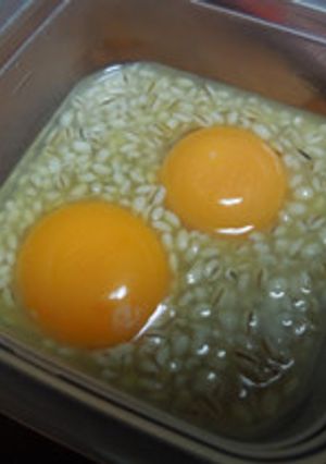 黄身の塩麹漬け-レシピのメイン写真