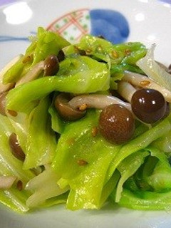 春キャベツとしめじの塩ごまナムル-レシピのメイン写真