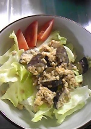 ごはんがすすむ♪鶏ミンチのみそマヨ丼-レシピのメイン写真