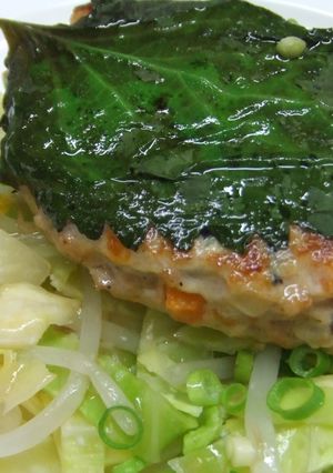 塩麹チキンバーグ-レシピのメイン写真