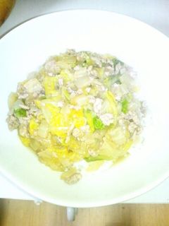 豚ひき肉と白菜のあんかけ丼-レシピのメイン写真