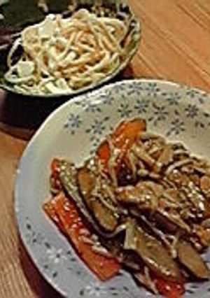 豚肉ゴボウのオイスター中華風スパゲティー-レシピのメイン写真