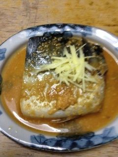鯖の味噌煮-レシピのメイン写真