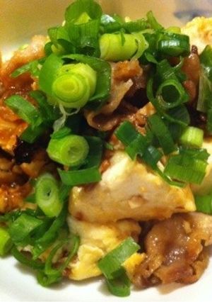 豚肉で☆肉豆腐-レシピのメイン写真