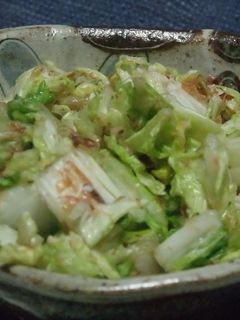 白菜浅漬け✿これが塩麹やわらかうま塩味★-レシピのメイン写真