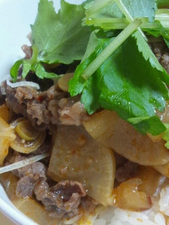 簡単☆牛肉と大根の韓国どんぶり&スープ-レシピのメイン写真