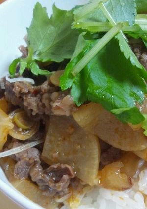 簡単☆牛肉と大根の韓国どんぶり＆スープ-レシピのメイン写真