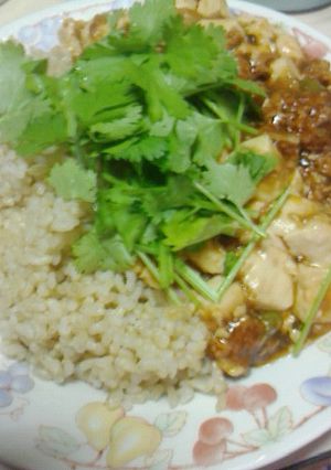 本格風麻婆豆腐-レシピのメイン写真