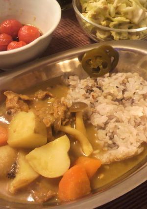 スパイスで作る☆昔風カレー（覚書）-レシピのメイン写真