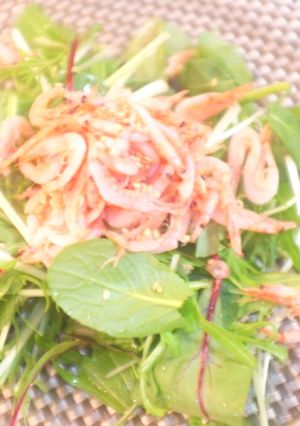 釜揚げ桜えびのグリーンサラダ♪-レシピのメイン写真