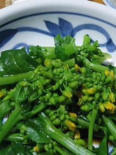 菜の花のおひたし-レシピのメイン写真