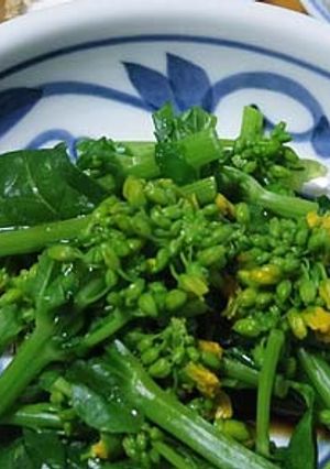 菜の花のおひたし-レシピのメイン写真