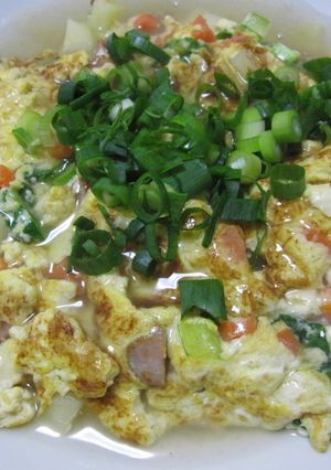 のこりもの餡かけ☆-レシピのメイン写真