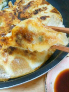おときさんちの手作り羽付き餃子♪-レシピのメイン写真