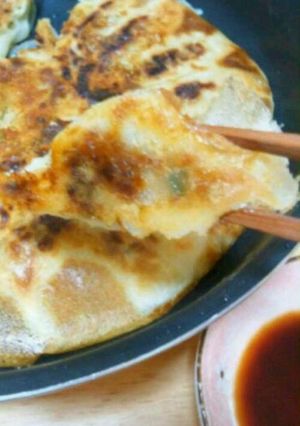 おときさんちの手作り羽付き餃子♪-レシピのメイン写真