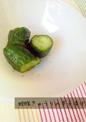 蛇腹きゅうりの辛子漬け-レシピのメイン写真