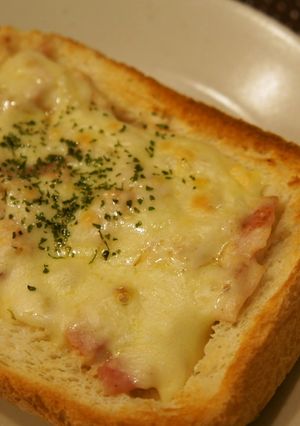 プチ贅沢☆器も食べてね！パングラタン-レシピのメイン写真