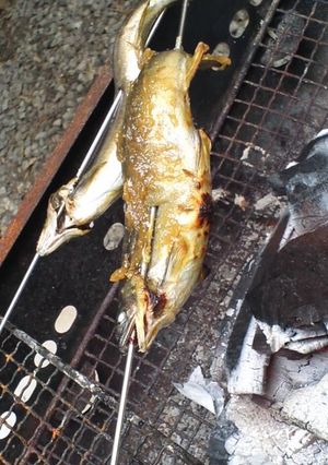 鮎の味噌焼き☆-レシピのメイン写真
