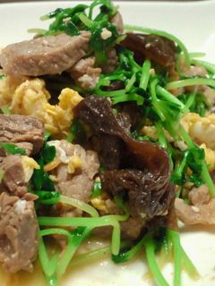豆苗と牛肉の炒め物-レシピのメイン写真