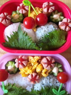 †桜餅&よもぎ餅風おにぎり弁当†-レシピのメイン写真