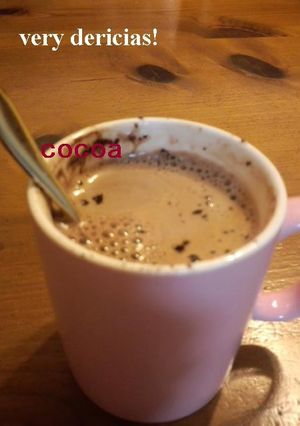 砂糖不使用☆ぽかぽかココア-レシピのメイン写真