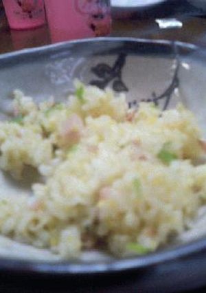 特製ネギチャーハン-レシピのメイン写真