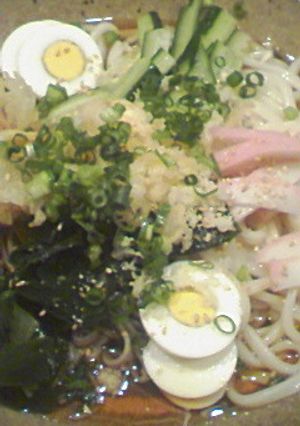 ぶっかけ冷やしたぬきうどん☆-レシピのメイン写真