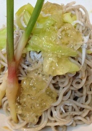 春キャベツとシラスの生姜ジュレ蕎麦-レシピのメイン写真