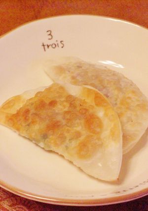リメイクきんぴら餃子-レシピのメイン写真