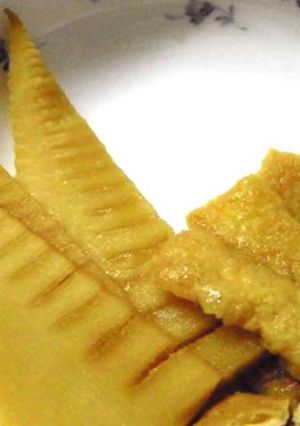 竹の子の穂先煮★春の旬メニュー-レシピのメイン写真