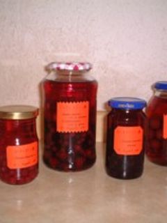 2004年 果実酒初実験!-レシピのメイン写真