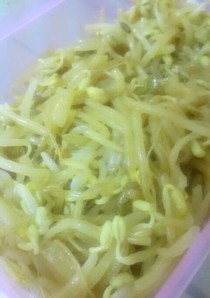 もやしのナムル-レシピのメイン写真