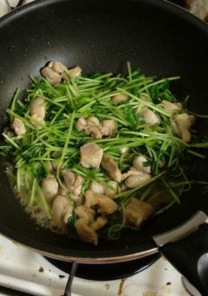 おやじ犬のご飯。鶏肉と豆苗の梅酢炒め-レシピのメイン写真