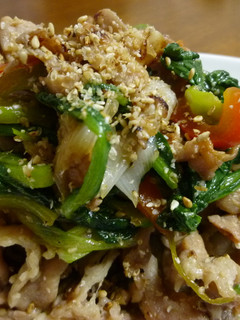 肉野菜炒め 塩麹味-レシピのメイン写真