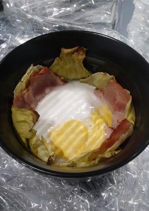 ソーラークッカー de 巣ごもり卵-レシピのメイン写真
