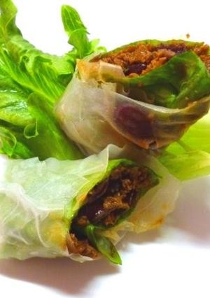生春巻き　in 　畑の肉そぼろ-レシピのメイン写真