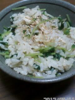 シャキシャキ♪豆苗ご飯-レシピのメイン写真