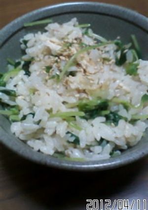 シャキシャキ♪豆苗ご飯-レシピのメイン写真