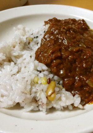H田店長のトマトたっぷりのカレー-レシピのメイン写真