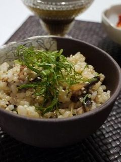 ダイエットうなぎ・生姜混ぜご飯-レシピのメイン写真
