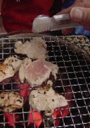ふり塩の達人！トリ胸肉のねぎ焼き-レシピのメイン写真
