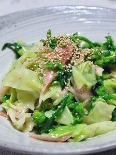 キャベツと菜の花のからしあえ-レシピのメイン写真