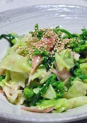 キャベツと菜の花のからしあえ-レシピのメイン写真