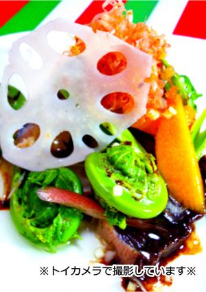 春の新芽こごみを鰹たたきとビワでサラダ風-レシピのメイン写真